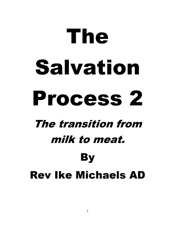 SALVATION PROCESS 2 - Image 3