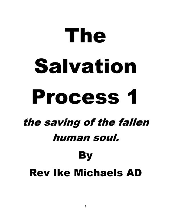 SALVATION PROCESS - Image 3