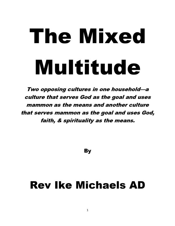 The Mixed Multitude - Image 3